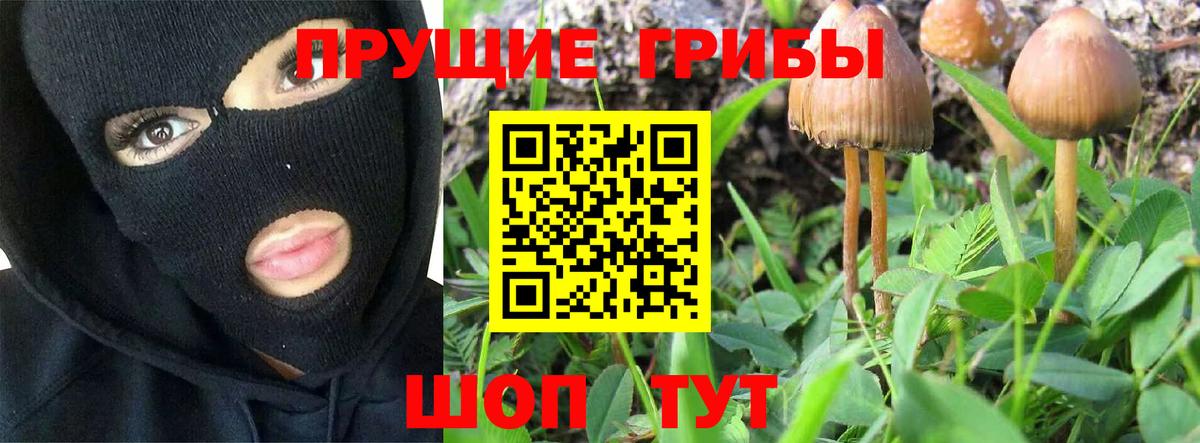 Галлюциногенные грибы Magic Shrooms Тавда