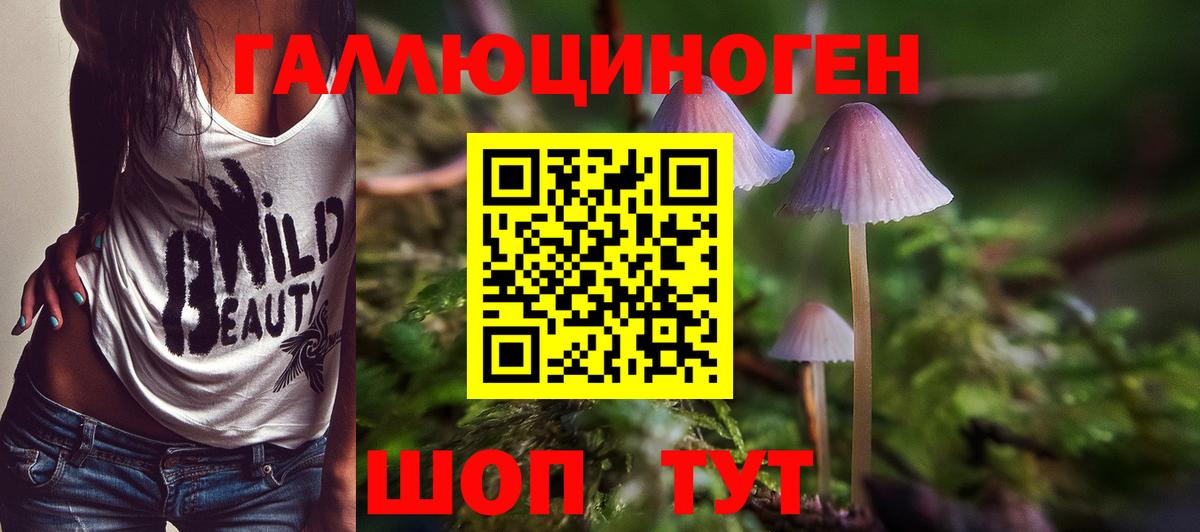 Псилоцибиновые грибы MAGIC MUSHROOMS  Вход с VPN  Тавда 